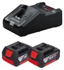 Bosch Starter Set 2x GBA 18 V / 5 Ah / 5000 mAh Batteria Anteprima dell’immagine prodotto 1