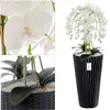 Orchidea artificiale a cascata bouquet bianco in vaso Anteprima dell’immagine prodotto 2