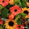 Sonnenblumen-Saatgutpaket - 10 Arten Produktbild-Vorschau 9