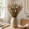 Mohnkapseln getrocknet 150 g ca. 60 cm Papaver Produktbild-Vorschau 2