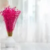 Flachs Getrocknete - (Leinen) - Fuchsia Produktbild-Vorschau 8