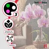KOTARBAU® 6er Set Pflanzenstütze Rosa 39 cm PVC Produktbild-Vorschau 5