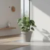Kunststoff Pflanzkübel L rund Ø 48 cm - hellgrau - Produktbild-Vorschau 8