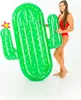 Luxe Cactus Float 185x132x20cm - Didak Pool Produktbild-Vorschau 3