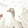 Duni Servietten Wood & Goose 33x33cm 3 lagig 50er Produktbild-Vorschau 1