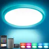 24W Smart LED Deckenleuchte intelligent - RGB, Alexa Lampe, Produktbild-Vorschau 1
