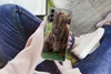 MuchoWow® Handyhülle Schutzhülle Hülle für Samsung Galaxy Produktbild-Vorschau 3