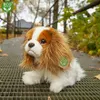 Peluche King Charles Spaniel 25 Cm Ecologico Anteprima dell’immagine prodotto 14