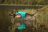 Non-stop dogwear Schwimmweste Protector Life Jacket türkis, Produktbild-Vorschau 17