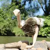 RAPPA Struzzo di peluche 32 cm ECO-FRIENDLY Anteprima dell’immagine prodotto 4