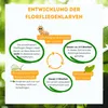 Florfliegenlarven gegen Blattläuse, Spinnmilben, Thripse & Produktbild-Vorschau 5