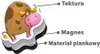 Magneti per animali Il mio piccolo mondo di magneti Anteprima dell’immagine prodotto 2
