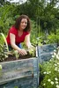 Plantaflor Plus  Hochbeeterde, Gemüseerde 2 x 40L, Erde Produktbild-Vorschau 4