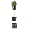 LECHUZA Green Wall Home Kit Glossy, Sadzarka w doniczce, Do Podgląd zdjęcia produktu 9