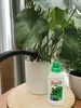 Pflanzenpflege Dünger - 0,55l - Für Monstera und andere Produktbild-Vorschau 5