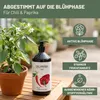 Green Home Love Nature Chili- und Paprikadünger 1 l, Produktbild-Vorschau 4