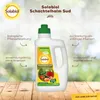 Solabiol Schachtelhalm Sud 1 Liter Produktbild-Vorschau 2