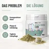 REAVETDenta Fresh Care – dodatek do karmy, proszek do Podgląd zdjęcia produktu 2