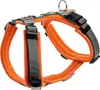 Hunter harnais Maldon, taille:XS, couleur:orange/gris Voir les images du produit 1