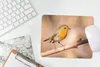 MuchoWow® Mauspad Mousepad Vogel - Zweig - Rotkehlchen Produktbild-Vorschau 5