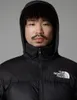 The North Face 1996 Retro Nuptse Winterjacke Herren Produktbild-Vorschau 12