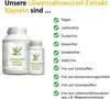 SinoPlaSan Löwenzahnwurzel-Extrakt 500 mg Kapseln, 60 St. Produktbild-Vorschau 4