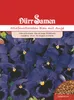 Stiefmütterchen dunkelblau mit Auge | Stiefmütterchensamen Produktbild-Vorschau 1