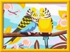 Pappagallini colorati Ravensburger 23994 Anteprima dell’immagine prodotto 14