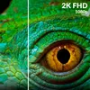 A split image showing a close-up of a chameleon's eye and skin, with text indicating resolution differences. Náhled obrázku produktu