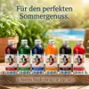 Slush Sirup Partyset 6 Sorten 250ml 1:5 AZO frei ohne Produktbild-Vorschau 5