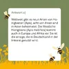 Bienen-Quiz Produktbild-Vorschau 3