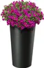 KADAX Set mit 3 Blumentöpfen + Einsatz, Produktbild-Vorschau 2