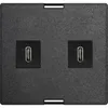 EVOline Wechselmodul  USB Charger 2 x USB Typ C schwarz Produktbild-Vorschau 1