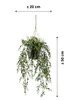 Emerald Kunstpflanze Buchsbaum Hängend in Topf 50 cm Produktbild-Vorschau 15