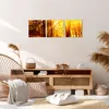 Bild auf Leinwand - Leinwandbild - Wald Baum Natur - Produktbild-Vorschau 7