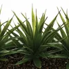 Atmosphera Créateur d'intérieur künstliche Aloe vera 3 Stk. Produktbild-Vorschau 2