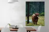 MuchoWow® Poster Schottischer Hochländer - Wald - Moos Produktbild-Vorschau 2