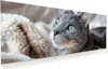 Glasbild 100x40cm in XXL für Wohnzimmer, Schlafzimmer Motiv Produktbild-Vorschau 1