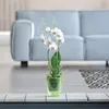 Kvetináč pre orchideu COUBI 16 cm priehľadný Náhľad obrázku produktu 9