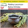 SAFLAX - Zestaw do uprawy - Bylica Chińska - 250 Nasiona - Podgląd zdjęcia produktu 8
