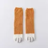 INF Flauschige Katzensocken mit Katzenpfoten 6 verschiedene Produktbild-Vorschau 6