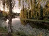 CALVENDO Puzzle Ein romantischer Abend 1000 Teile Puzzle Produktbild-Vorschau 3
