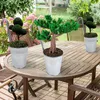 9 x Hängetopf Blumentopf Hängetöpfe Garten Balkon Blumen Produktbild-Vorschau 10