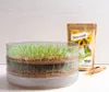 3-úrovňový klíčiaci stroj | Papagájové klíčky | Jednoduché Náhľad obrázku produktu 3