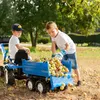 Rolly Toys Anhänger fü Trettraktor, Zweiachsanhänger, Anteprima dell’immagine prodotto 7