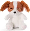 NICI Kuscheltier Hund im Körbchen, 12 cm, Cocker Spaniel, Produktbild-Vorschau 4