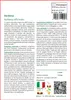 SAFLAX  - Verbena - 250 semi - Verbena Anteprima dell’immagine prodotto 3
