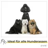 PiuPet® Hundeleine 2m I 3-Fach längenverstellbar I Leine Produktbild-Vorschau 6