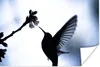 MuchoWow® Poster Vogel - Kolibri - Scherenschnitt 120x80 cm Produktbild-Vorschau 1