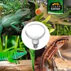 Reptilienlampe D3 UV Heat Spot 80 Watt selbstballastierend Produktbild-Vorschau 6